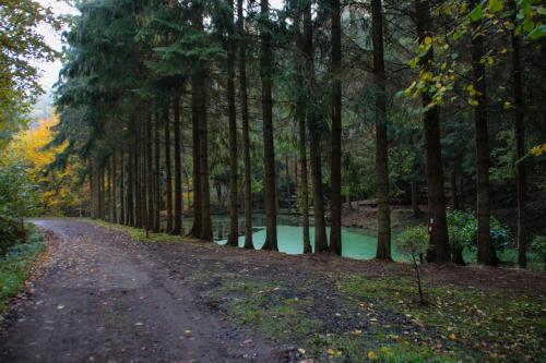 FH Gestiefelter Kater am See im hessischen Bergland