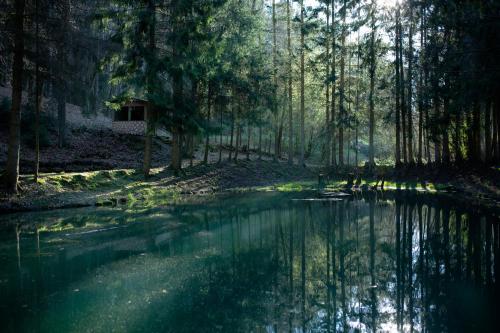 FH Gestiefelter Kater am See im hessischen Bergland