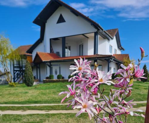 . Vila Ivan