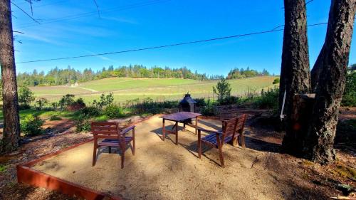 Luxury Napa Vineyard Estate 15 min from St. Helena