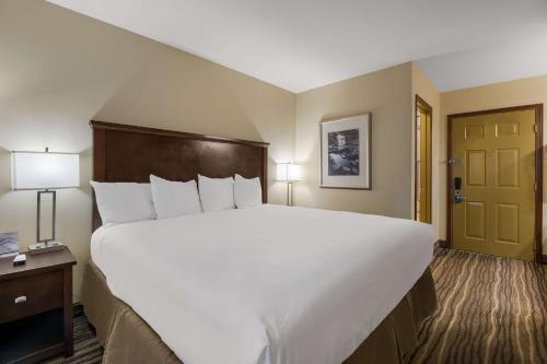 Best Western Cottage Grove Inn - image 2