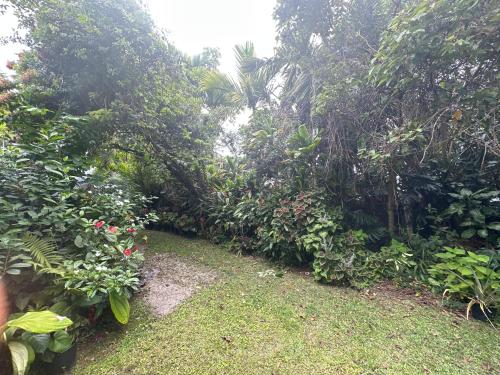 Hawaiian Ohana Home - image 13