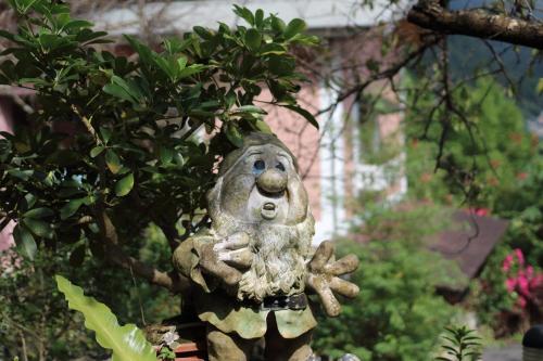 老农夫山庄  老农夫山庄