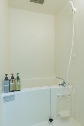 One-Bedroom Apartment image 7
