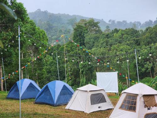 Phuthiptara Resort - 전망