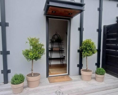 . Apartment 6 - Haddin Court - Funky One Bedroom
