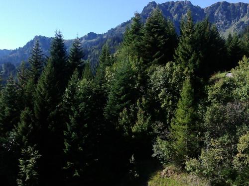 Apkārtne, Appartement A La Jorette-Torgon in Torgona