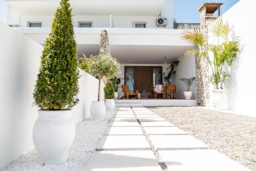 Li Mango in Kos Island