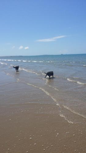 沙灘, Country View Motel Ilbilbie in 伊爾比爾比