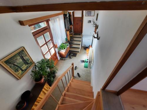 Ubytování Nad rybníkem Nová Říše - apartmán Východ (Ubytovani Nad rybnikem Nova Rise - apartman Vychod) in 琴德瑞楚夫赫拉德茨