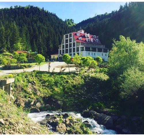 Hotel Green Valley Savsat