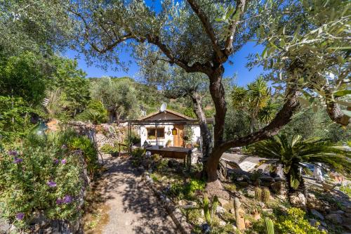 Cottage Pura Vigna immerso nella natura vicino al mare in 圣托斯特凡诺港