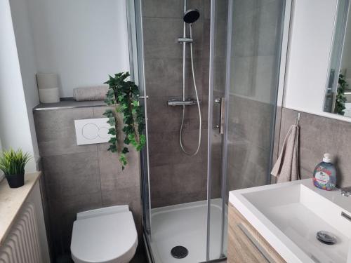 Zuhanyzó, Cozy Studio-Apartment in Hattersheim in Hattersheim am Main