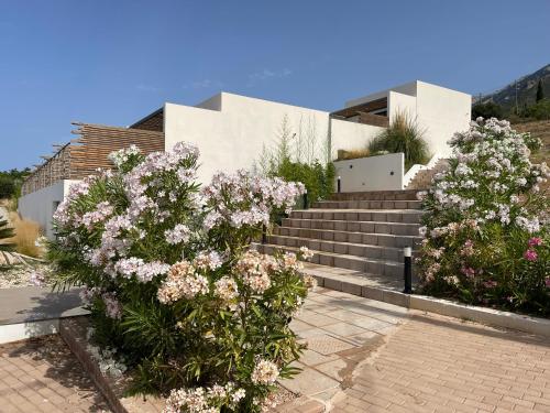 Kefalonian Escape Suites in Elios Proni