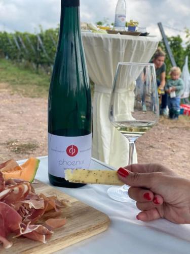 FERIENWOHNUNG ALL YOU NIED mit NIEDBLICK und TERRASSE in Rehlingen–Siersburg