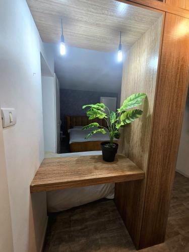 Instalaciones, Emile zola in South Tel Alviv
