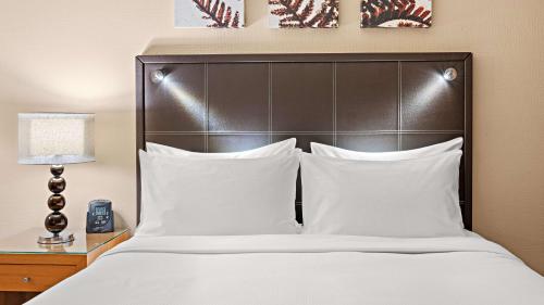 Hilton Dresden - image 6