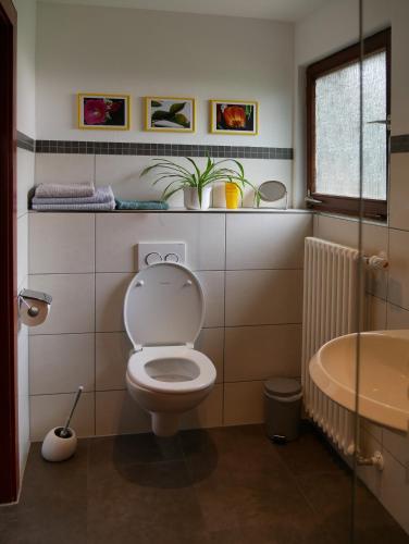 Ferienwohnung Lahr in ลาร์/ชวาร์ซวาลด์