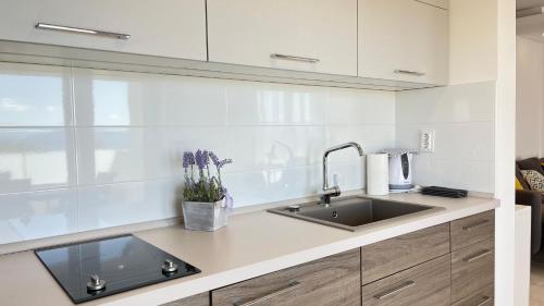 Apartment Buby in ราดิชิ