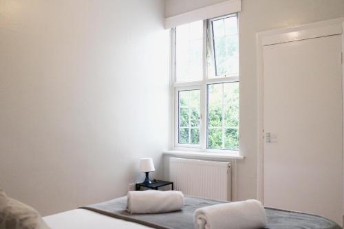 Large Garden Apartment on Golders Green High Road, Londýn (fotografie 6)