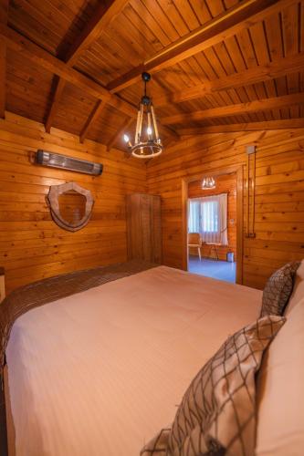 Alfa Suites & SPA - main image