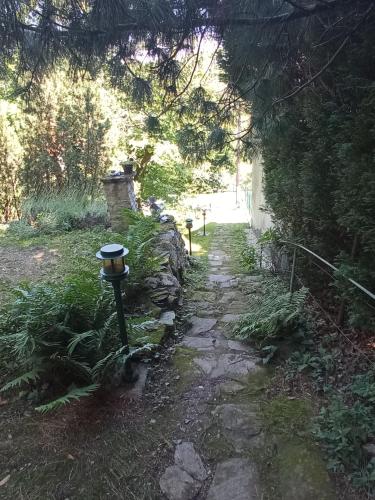 Dārzs, Pele vendégház (Pele vendeghaz) in Velem