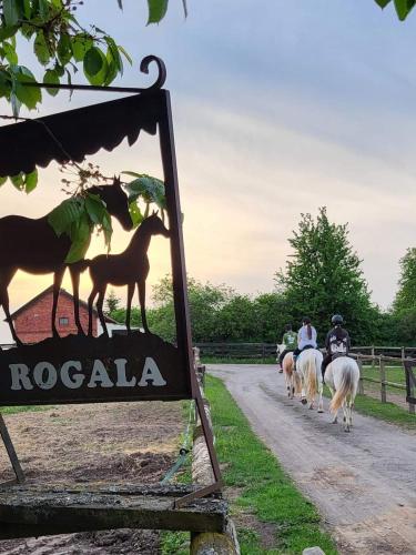 Stajnia Rogala