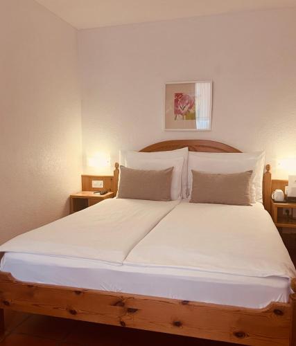 Piazza Ascona Hotel & Restaurants - image 14