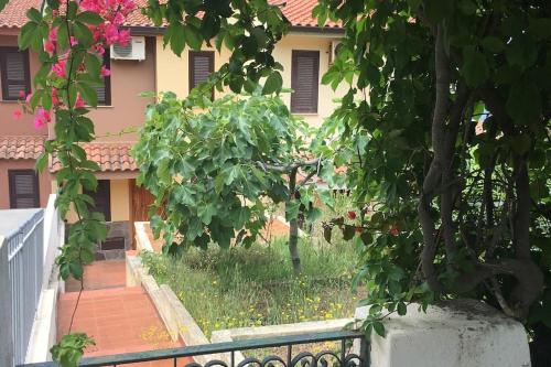 MAtti1965, Scalea (Foto 8)