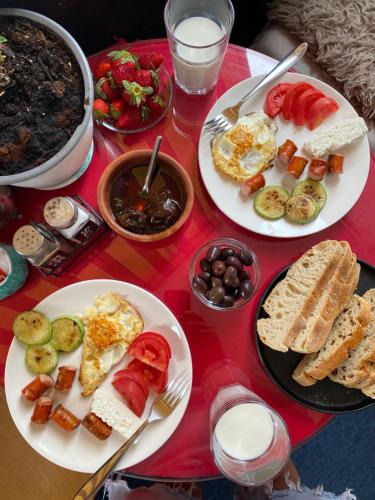 Еда и напитки, Maison D'artiste Boutique Hostel in Тирана