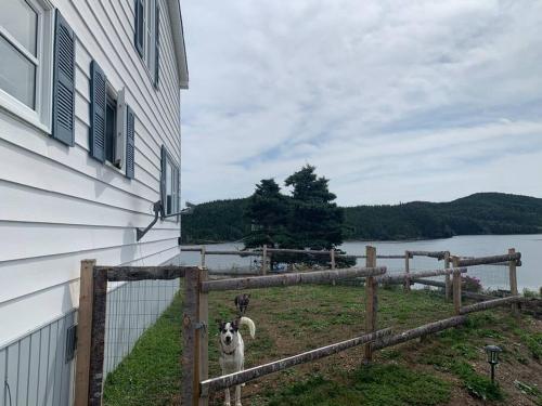 Merritt's Harbour Memories in Merritt's Harbour (NL)