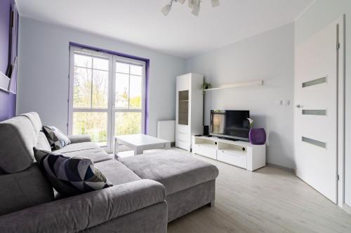 Skupni salon/TV območje, Apartament Olsztyn Rataja 62 in Osiedle Podlesna