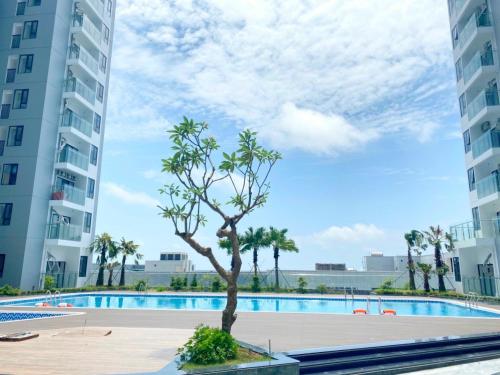 Swimming pool, Homestay Hue Oi near An Dinh Palace