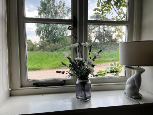 Skats, Canter Cottage in Greitmasinghema