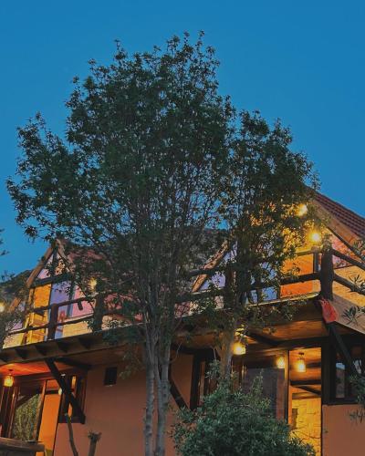 Dana luxury huts in Dana