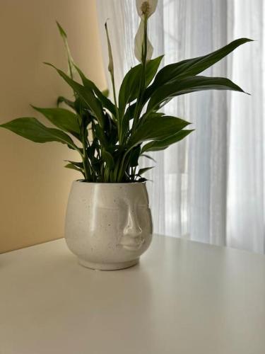 Lāčplēšas ielas apartment 2 (Lacplesas ielas apartment 2) in ลีพาจา