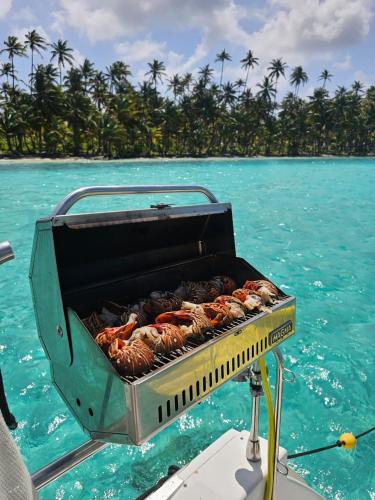 Private Catamarán With Crew - DON C - Lagoon 40 feet - All Inclusive (Private Catamaran With Crew - DON C - Lagoon 40 feet - All Inclusive) in 埃波班尼