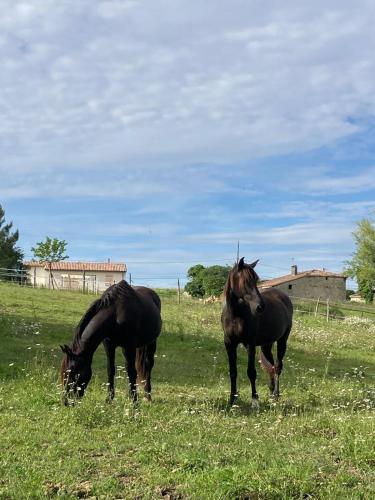 Dārzs, Charmant Horse and Cottage Hideaway in Doulezon