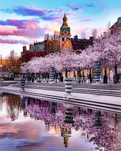 Monsun, Stockholm (photo 10)