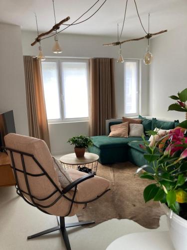 Charmante stadswoning aan Groen Kwartier, Amberes (foto 7)