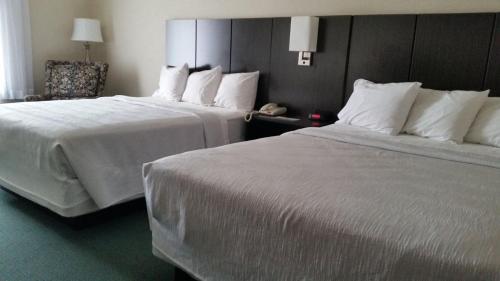GOLD VAULT INN - image 13