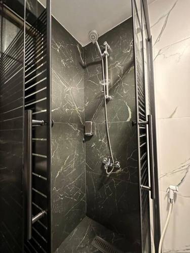Stylish Luxe Apartment F-R 0006 - image 12