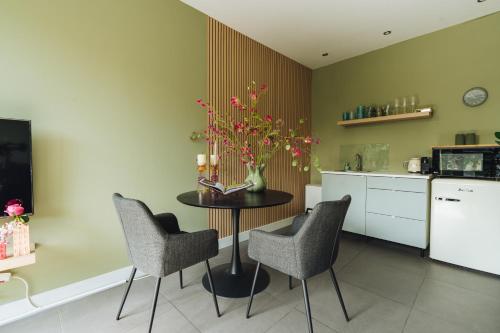 Sfeervol luxe appartement Haarlemmerhout bij Haarlem Centrum en Amsterdam - gratis parkeren in Den Hout