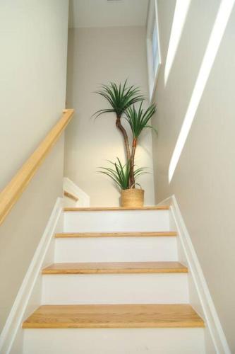 Grace Filled Apartment in Newark