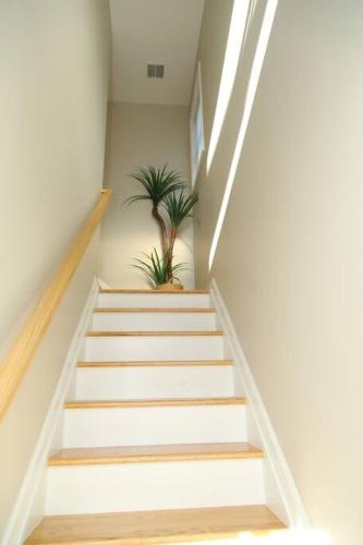 Grace Filled Apartment in Newark