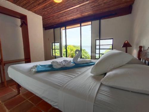 Coco Bay in La Laguna