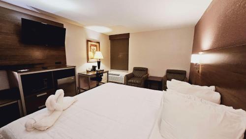 Best Western Hopkinsville KY - BRAND NEW ROOMS in Hopkinsville, USA