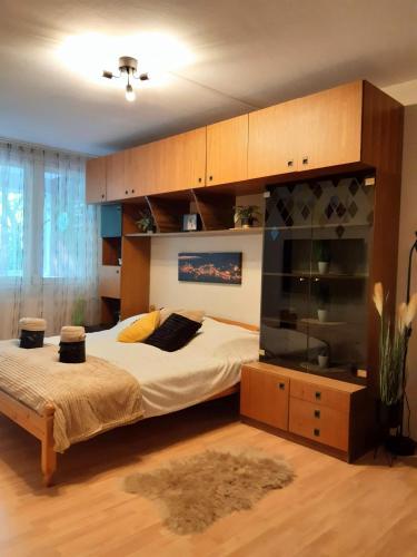 Park-side apartment, Budapeszt (zdjęcie 7)