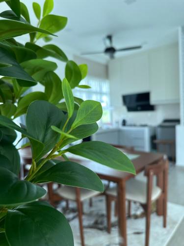Tiny House PT82 Kg Gumut Tambahan in Tanjong Malim (Selangor)