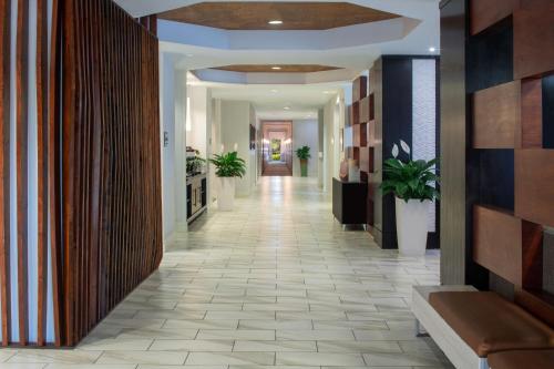 SpringHill Suites by Marriott Orlando Convention Center - image 8